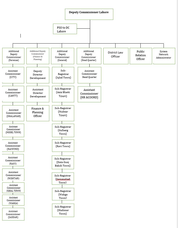 Organogram